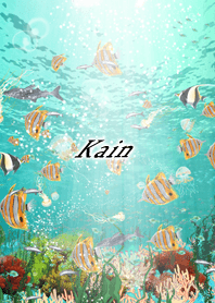 Kain Coral & tropical fish2