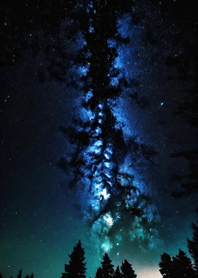 Mountain, Sea, and Moonlit Night b11BBB