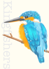 -Kingfishers-