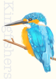 -カワセミ-