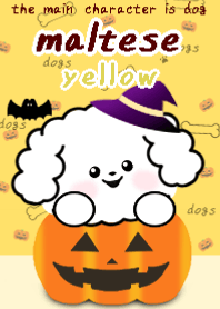 Halloween maltese theme yellow