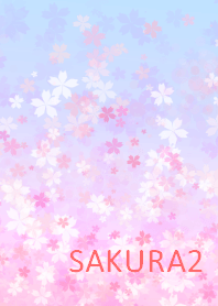 Beautiful SAKURA2 桜シリーズ2