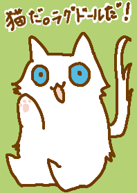 猫だ。ラグドールだ！