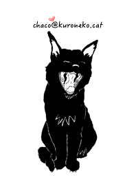 黒猫のシンプルな着せかえ - chaco -