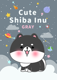 misty cat-Shiba Inu black Galaxy gray