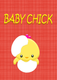Baby Chick