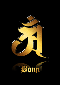 Zodiac Sanskrit [Ann] Gold.Black.