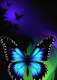 Butterfly of the night   B6CCcd