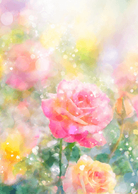 Beautiful rose flower(R1532)