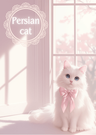 Beautiful Persian cat
