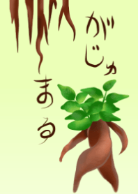 ガジュマル
