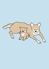 狗 柴犬_淡藍色