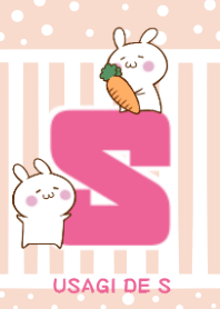 RABBIT & S