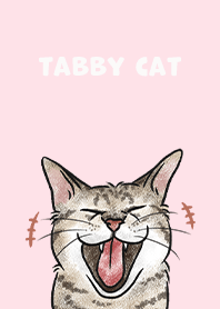 tabbycat4 / pink