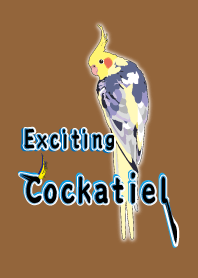 わくわくオカメインコ