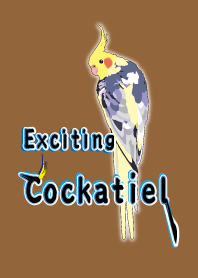 Exciting Cockatiel