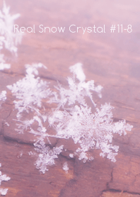 Real Snow Crystal#11-8