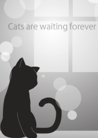 Cats are waiting forever