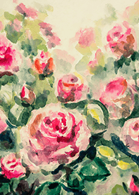 Beautiful rose flower(R4871)