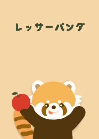 Cute Red Panda
