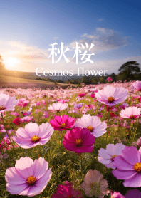 "Cosmos flower vol.2" theme