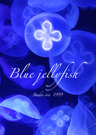 幸運の四葉のクローバー 癒しのクラゲ