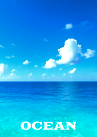 OCEAN THEME 59