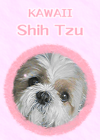 KAWAII Shih Tzu Theme (Pink Ver.)