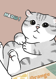 neko single15 / nude