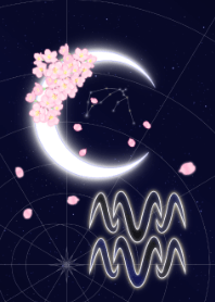 Lua em Aquário e flores de cerejeira