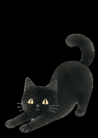 A unique cat09 black