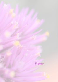 Flower Theme 6