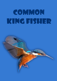 Happy BirdWatching!?(その1)