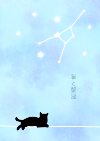 【12星座】蟹座と猫