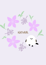 Long-tailed tit lily23 from Japan