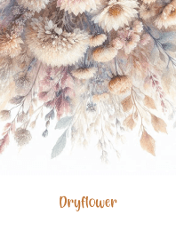 Dryflower-antique 46