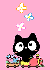Very cute black cat2