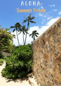 ALOHA Summer Ocean Lanikai 48