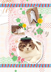 どんぐり 着せかえ