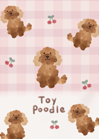 I love fluffy toy poodle6.