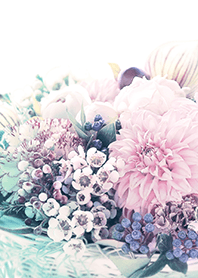 【flower】pale
