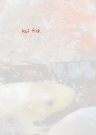Koi fish Theme 1