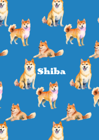 Cute Shiba on blue