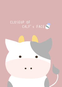 CLOSEUP OF CALF's FACE/PINKBEIGE