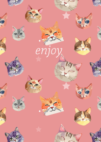 we are cats on light pink