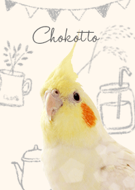 ゆるふわオカメインコ