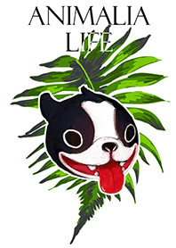 Animalia Life