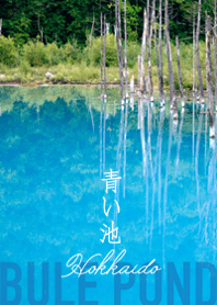 神秘的に輝く青い池 美瑛 北海道