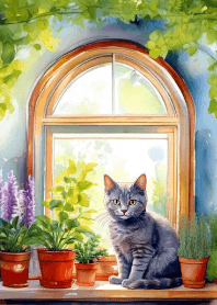 Cat by the window. Vol.1