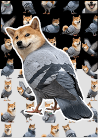 Shiba pigeon Black & White